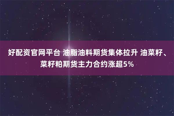 好配资官网平台 油脂油料期货集体拉升 油菜籽、菜籽粕期货主力合约涨超5%