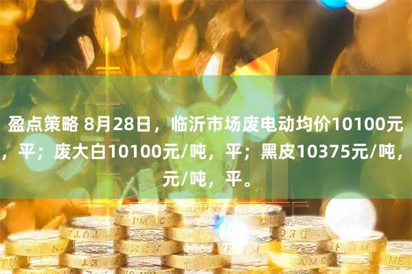 盈点策略 8月28日，临沂市场废电动均价10100元/吨，平；废大白10100元/吨，平；黑皮10375元/吨，平。