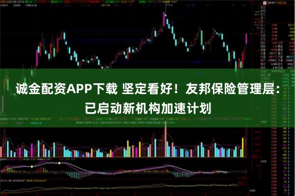 诚金配资APP下载 坚定看好！友邦保险管理层：已启动新机构加速计划