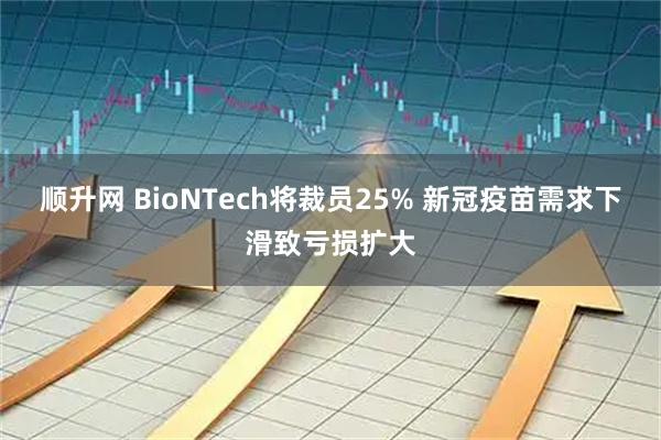 顺升网 BioNTech将裁员25% 新冠疫苗需求下滑致亏损扩大