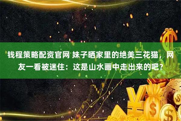 钱程策略配资官网 妹子晒家里的绝美三花猫，网友一看被迷住：这是山水画中走出来的吧？